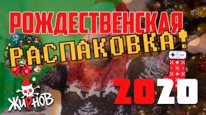 Рождественская распаковка 2020 / GameWolf, RETRO STOCK, Onee-Game, пополнение коллекции игр