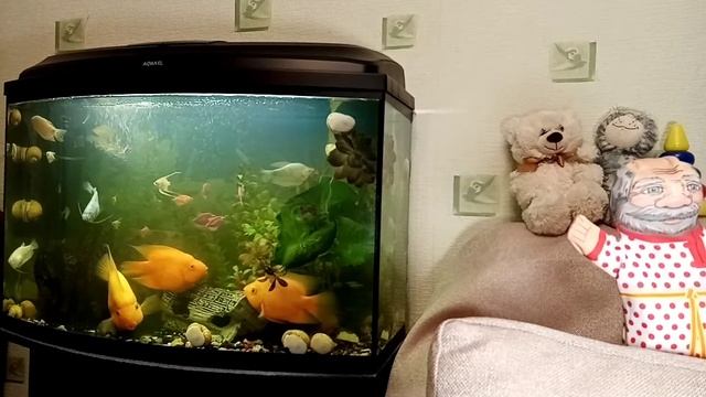 Русские былины. Садко в подводном царстве смотреть онлайн