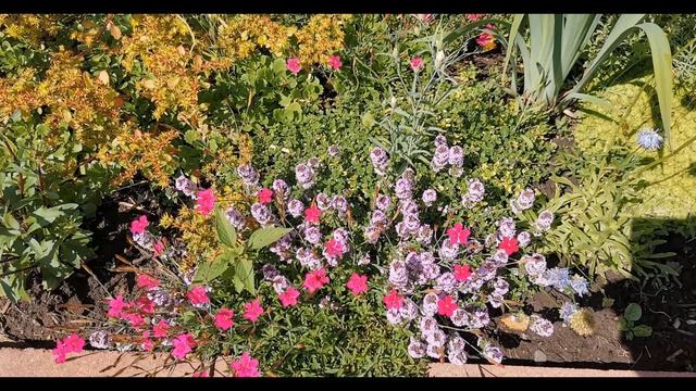 Сибирская дача в июле смотреть онлайн