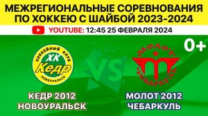 Межрегиональные соревнования по хоккею Кедр-2012 Новоуральск-Молот-2012 Чебаркуль. 25.02.2024 2 игра