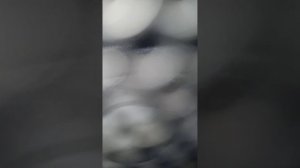 Sony MHC-V77DW Dynamic BASS TEST