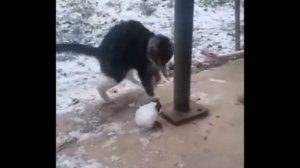 Настроение