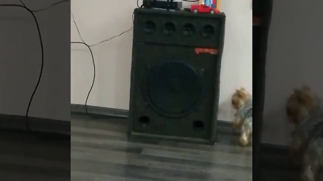 Йорк и кот смотреть онлайн