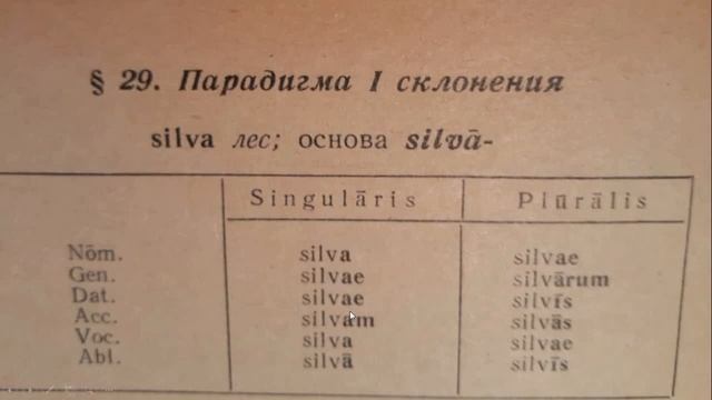 Латинский язык, имена существительные; падежи, склонение; первое склонение