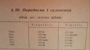 Латинский язык, имена существительные; падежи, склонение; первое склонение