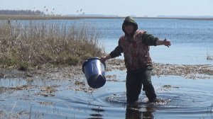 Зарыбление Водоёма Иди Плыви
