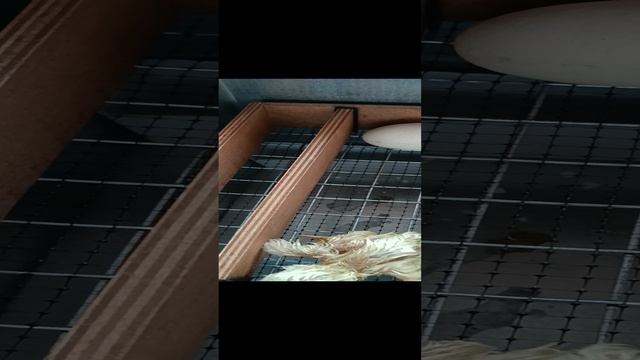 Доброе утро. Здравствуйте товарищи..mp4 //
