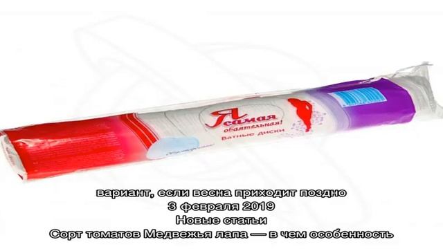 Эффективное проращивание семян пеларгонии