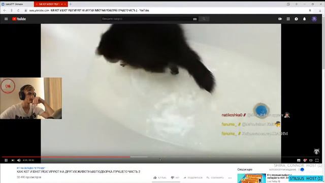 Санс смотрит - КАК КОТ И ЕНОТ РЕАГИРУЮТ НА ДРУГИХ ЖИВОТНЫХ/ПОДБОРКА ЛУЧШЕГО ЧАСТЬ 2 смотреть онлайн