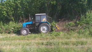 Измельчение мульчером порубочных остатков