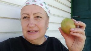 Сплошная оптимизация, на зиму в отпуск!