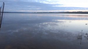 СУДАК НА ТРОЛЛИНГ на Верхне-Волжских озерах. Четырехдневная рыбалка на озере Вселуг