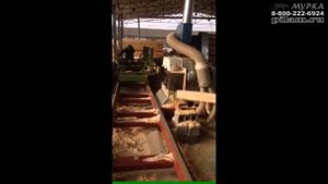 Китайская дисковая вертикальная пилорама современная замена ленточного пиления pilam.ru