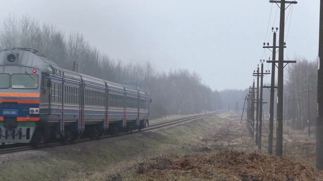 Пригородный поезд №6684 Молодечно - Крулевщизна / Commuter train №6684 Molodechno - Krulevshchizna. смотреть онлайн