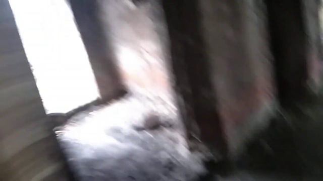 7 часть мы пришли много туда и там случилось такое