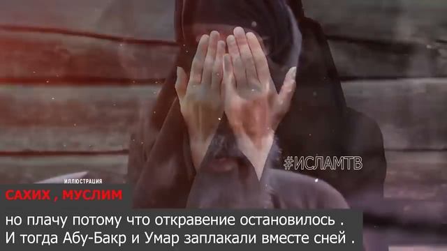 ЭТИ 5 ХАДИСОВ ПРОРОКА ИЗМЕНЯТ ТВОЮ ЖИЗНЬ! сунна пророка