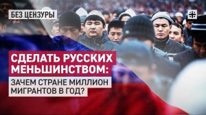 Сделать русских меньшинством: Зачем стране миллион мигрантов в год?