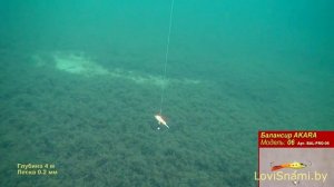 Балансир на судака AKARA 06, обзор, Братья Щербаковы