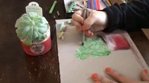 Drawing with pastels-Part 2