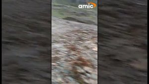 Сель Горный Алтай