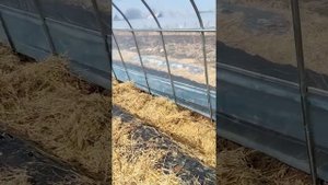 корейские теплицы