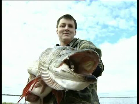 Щука на 16 кг ,съёмка на городском озере смотреть онлайн