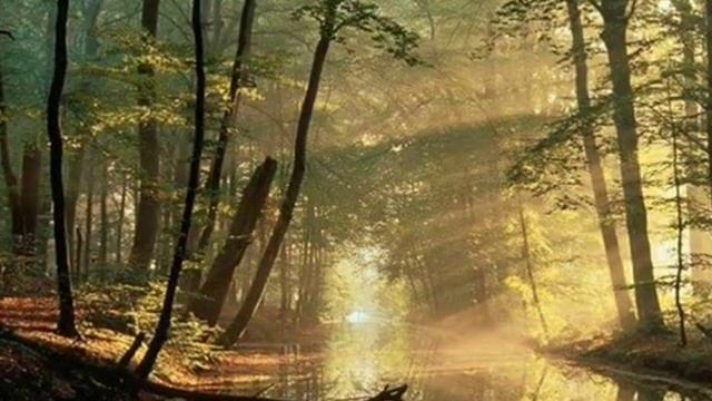 Карамель,конфеты шоколад...