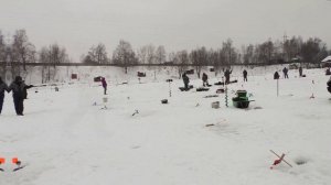 Форель на ратлин с алиэкспресс