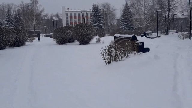 Много снега сегодня выпало. Снегопад.