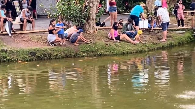 Японский храм Байодо-инь. Оаху, Гавайи. смотреть онлайн