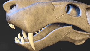 Горгонопс | Эволюция животных | Первый саблезубый хищник