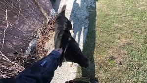 Кизиловое, Байдарская долина, Севастополь, Крым