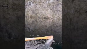 Сегодня все о рыбалке высоко в горах Норвегии….