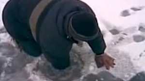 Огромная щука укусила за руку