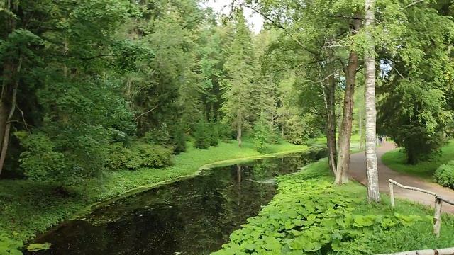 Павловск. Экскурсия по парку