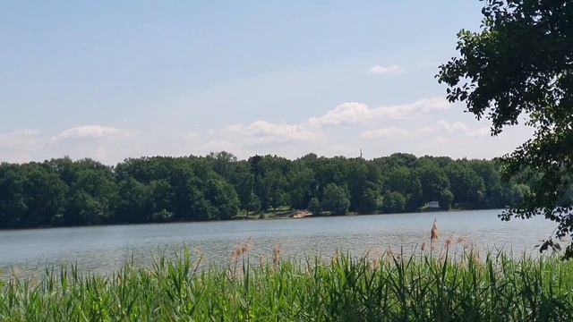 Куда забрели?! Санчо-Ранчо. Водопьяновские дачи. Экстрим-прогулка вокруг озера Бисерово. 2ч