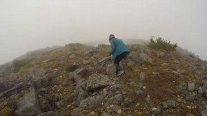 Охота на белую куропатку