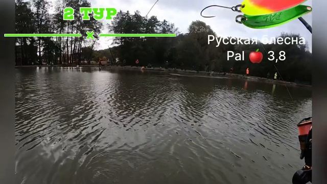 Мисайлово Trout - соревнования по ловле форели 08.10.23. Первая личная победа - 3-е место!