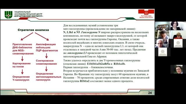Екатерина Яцишина. Комплексное изучение древнеегипетских мумий в НИЦ «Курчатовский институт».