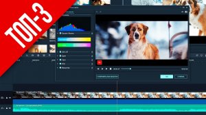 ТОП-3 Видеоредакторов для начинающих Рутюберов и Ютуберов