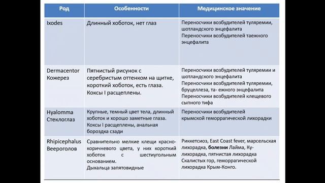 Отряд клещей. Биология. Систематика. Ассистент Буняева Д.В. смотреть онлайн