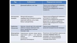 Отряд клещей. Биология. Систематика. Ассистент Буняева Д.В.