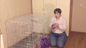 Покупки для щенка | ХОЧУ ДОБЕРМАНА