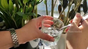 СРОЧНО НАЛЕЙТЕ ЭТО в ЗАМИОКУЛЬКАС и даже самый чахлый цветок оживет и выпустит много новых листьев