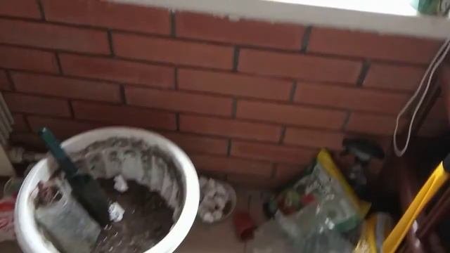 ВЕРБЕНА, ОЧЕНЬ ВАЖНАЯ ПОДКОРМКА!!!