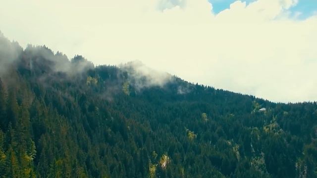 Грех  Письма о духовной жизни  Игумен Никон Воробьев
