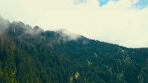 Грех Письма о духовной жизни Игумен Никон Воробьев