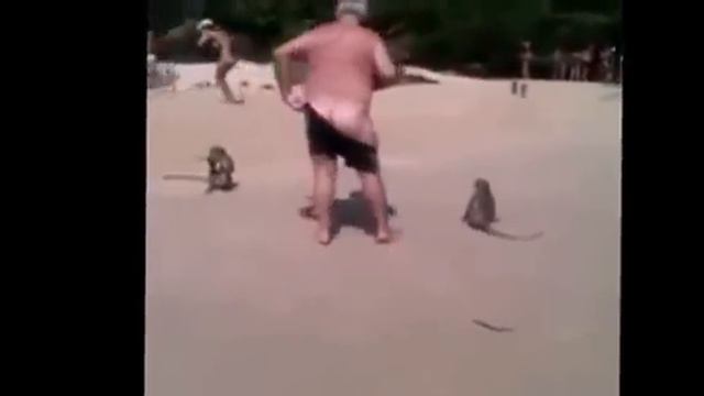 Мужика РАЗДЕЛИ ОБЕЗЬЯНЫ! Полный ржач! Смешные приколы смотреть онлайн