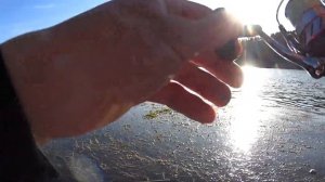 Рыбалка на спиннинг на р. Томь. В Новороманово.