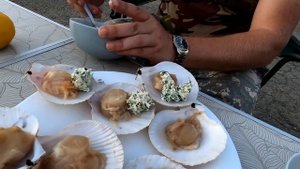 Морской гребешок на мангале.
